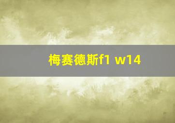 梅赛德斯f1 w14